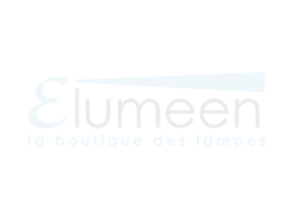 Lauw Omtrek gracht Lampes torches tactiques pour la Gendarmerie et la Police